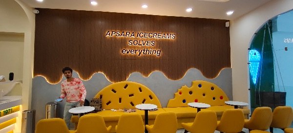 Unique Furniture decorator